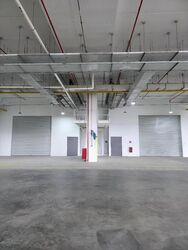 Ct Foodnex (D25), Factory #498212911